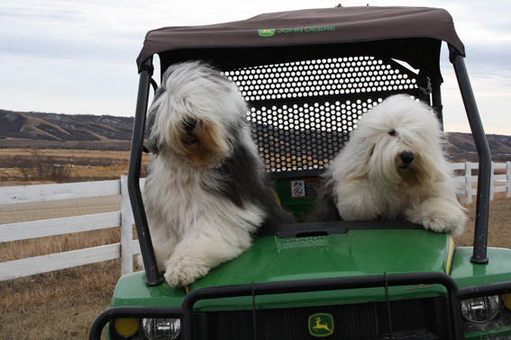 The boys at the ranch
